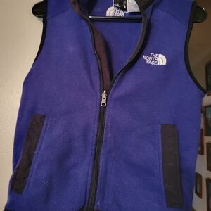 The North Face Blue Fleece Vest